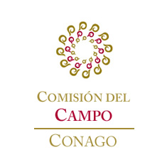 Comisión del Campo