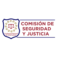 Comisión de Seguridad y Justicia