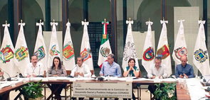 Reunión de la Comisión Ejecutiva de Desarrollo Social y Pueblos Indígenas. Oaxaca, Oaxaca, 24 de junio de 2015. 