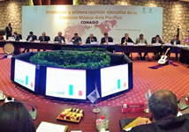 Comisión Ejecutiva México- Asia Pacifico. 29 de octubre.