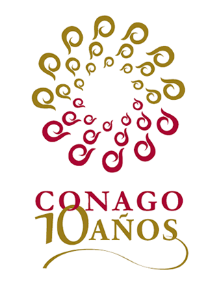 Logotipo oficial de los 10 a?os