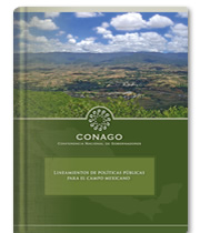 Lineamientos de Pol?ticas P?blicas 